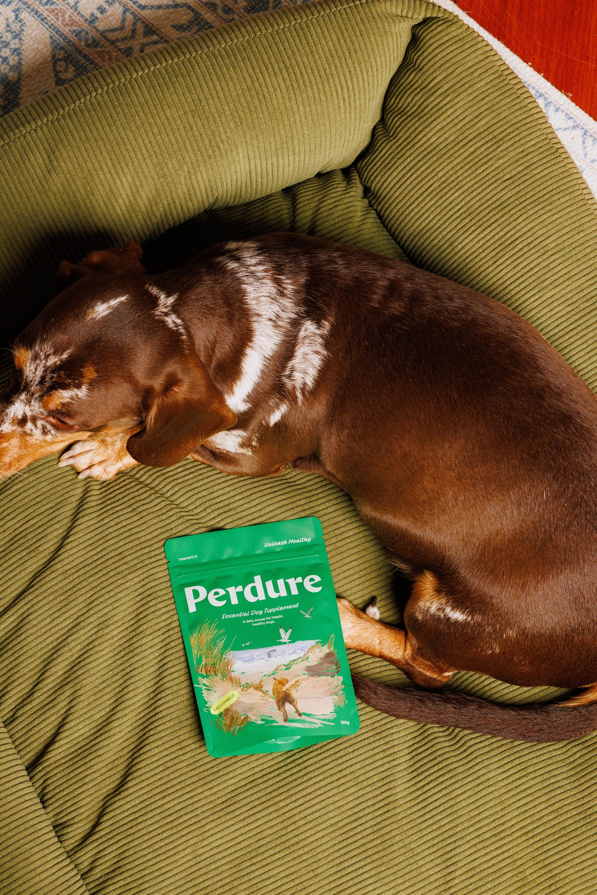The Essential Dog Supplement