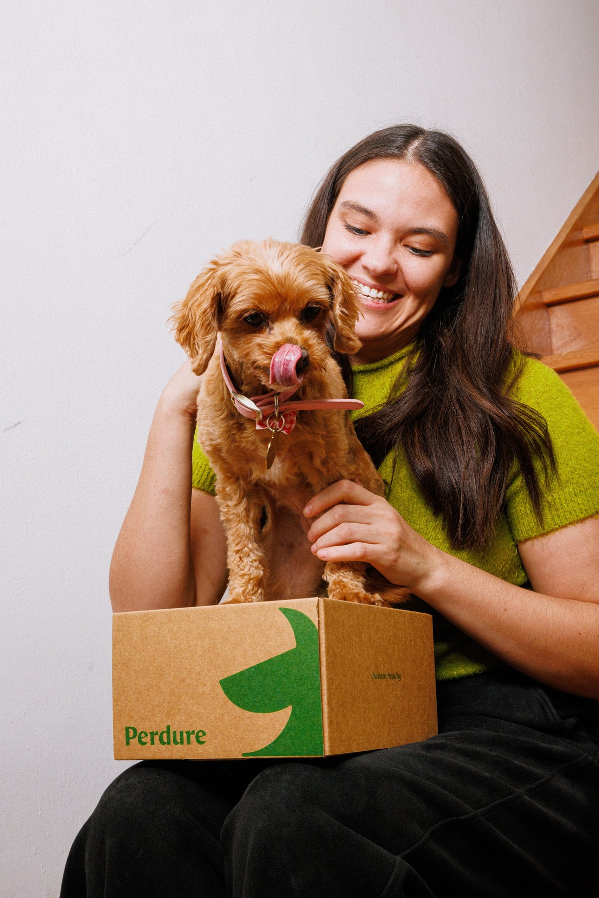 The Essential Dog Supplement