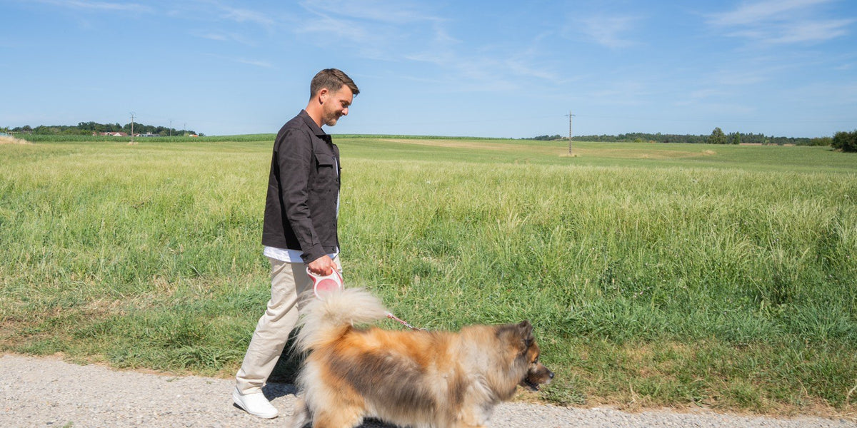 Yves et son chien Léo en balade le long d’un champ
