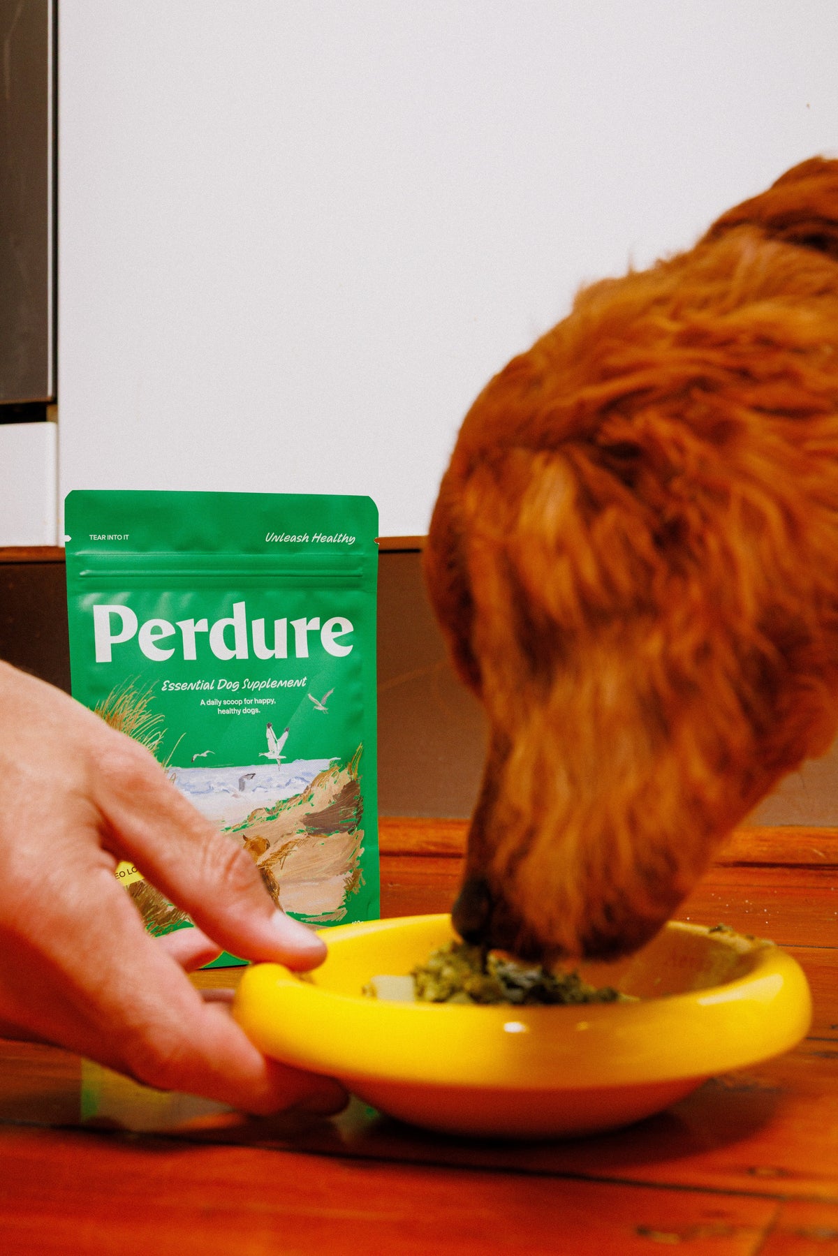 The Essential Dog Supplement