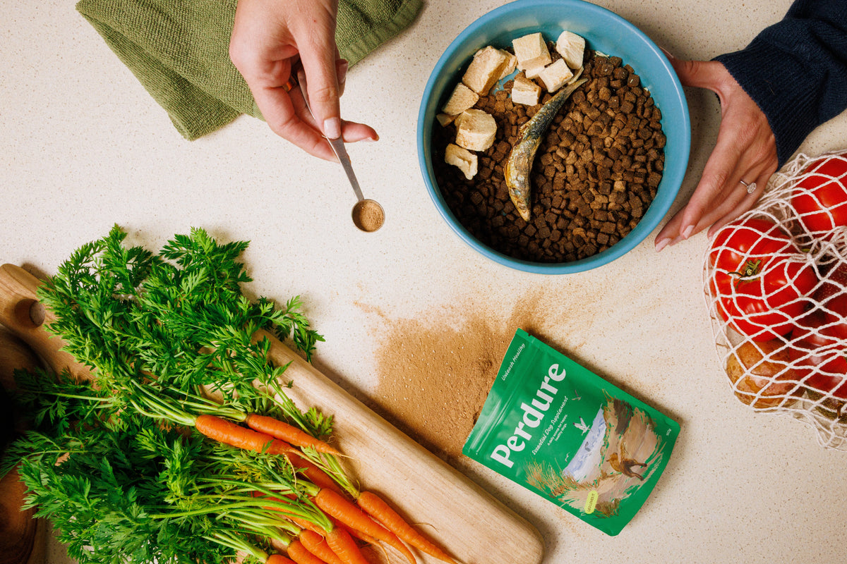 The Essential Dog Supplement